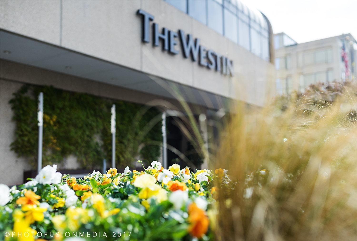 The Westin Crystal City Reagan National Airport Arlington Exteriér fotografie